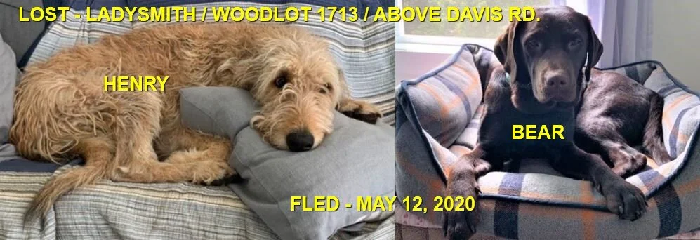 HAPPY ENDINGS - LADYSMITH BC - MAY 12, 2020