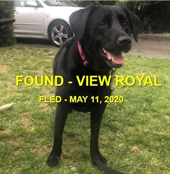 HAPPY ENDINGS - VIEW ROYAL BC - MAY 11, 2020