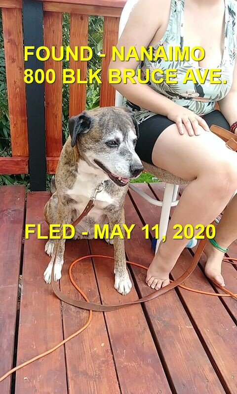 HAPPY ENDINGS - NANAIMO BC - MAY 11, 2020