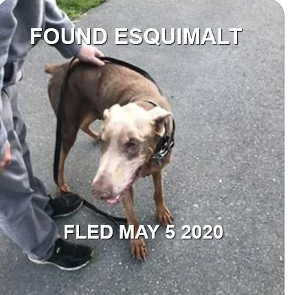 HAPPY ENDINGS - ESQUIMALT BC - MAY 5, 2020