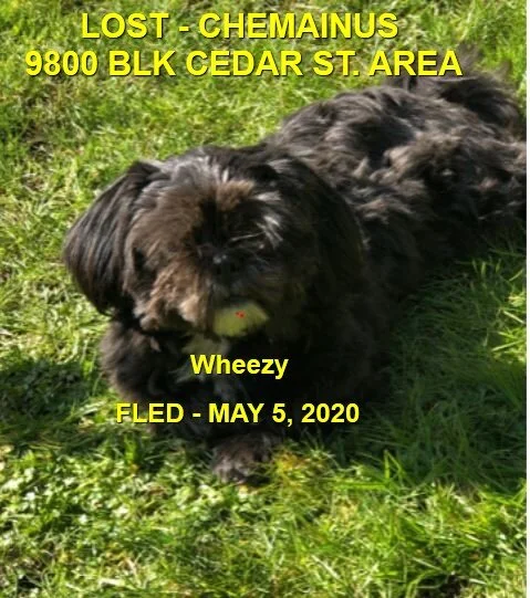 HAPPY ENDINGS - CHEMAINUS BC - MAY 5, 2020