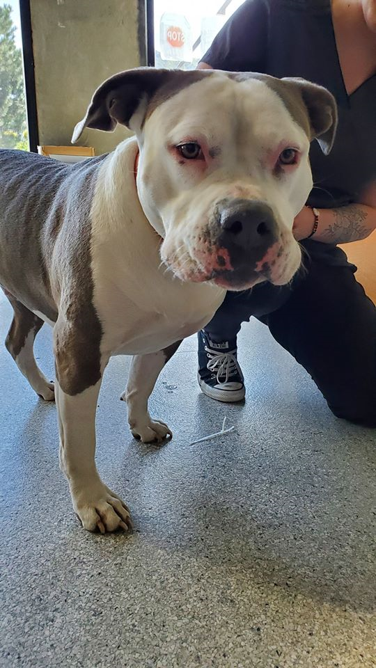 COURTESY POST - WEST KELOWNA - MAY 12, 2020