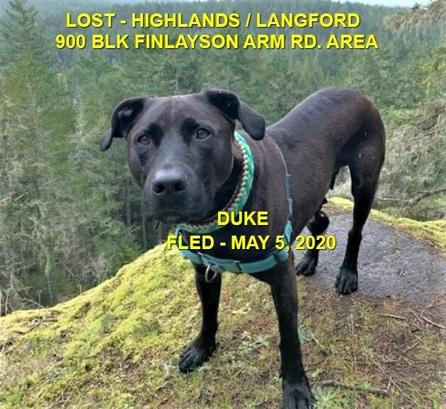 HAPPY ENDINGS - HIGHLANDS / LANDFORD BC - MAY 5, 2020