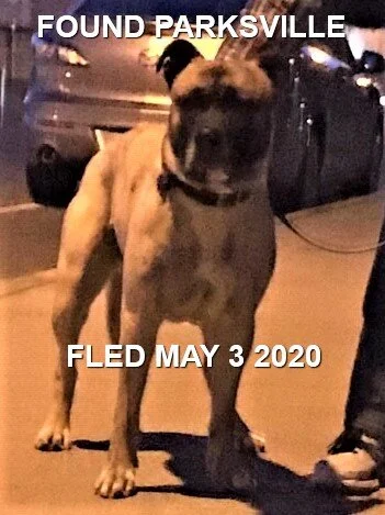 HAPPY ENDINGS - PARKSVILLE BC - MAY 3, 2020