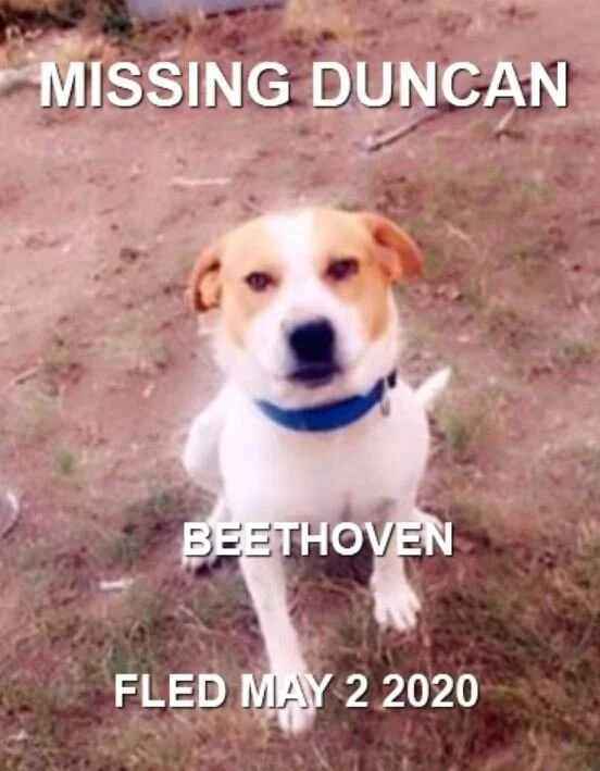 HAPPY ENDINGS - DUNCAN BC - MAY 2, 2020