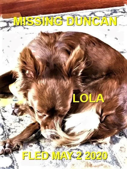 HAPPY ENDINGS - DUNCAN / MAPLE BAY BC - MAY 2, 2020