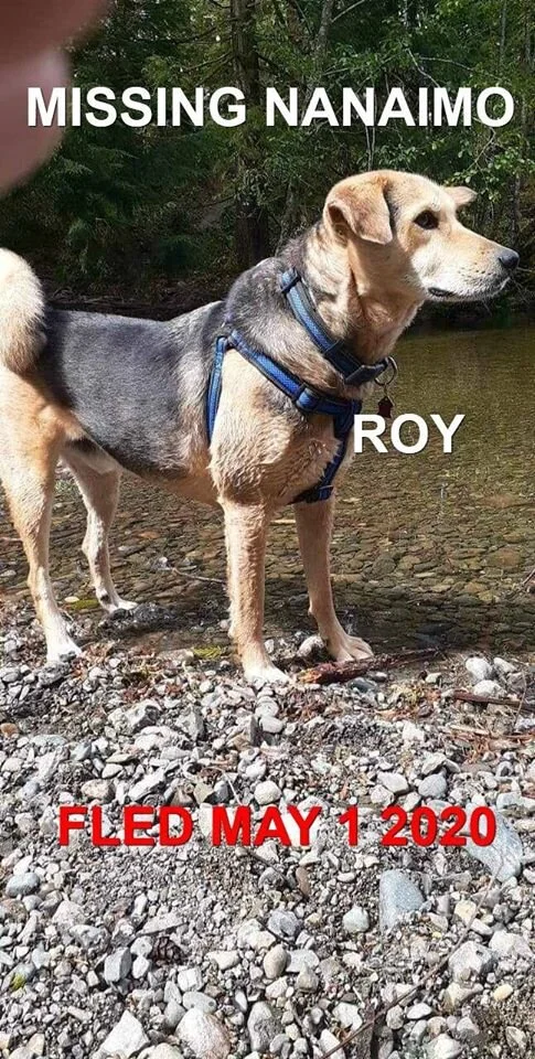 HAPPY ENDINGS - NANAIMO BC - MAY 1, 2020