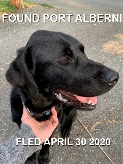 HAPPY ENDINGS - PORT ALBERNI BC - APRIL 30, 2020