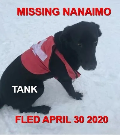 HAPPY ENDINGS - NANAIMO BC - APRIL 29, 2020