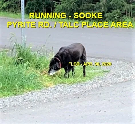 HAPPY ENDINGS - SOOKE BC - APRIL 30, 2020