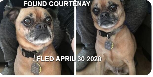 HAPPY ENDINGS - COURTENAY BC - APRIL 30, 2020