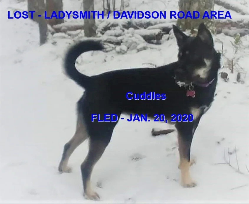 HAPPY ENDINGS - LADYSMITH BC - JAN. 20, 2020