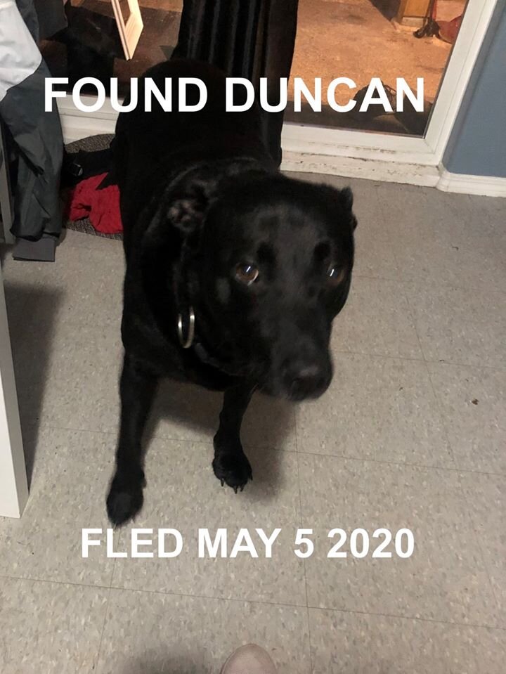 HAPPY ENDINGS - DUNCAN BC - APRIL 5, 2020