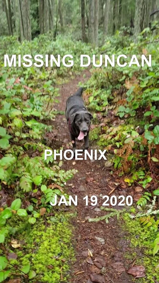 HAPPY ENDINGS - DUNCAN BC - JAN. 19, 2020