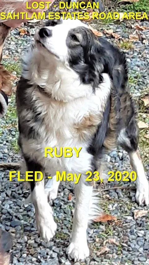 HAPPY ENDINGS - DUNCAN BC - MAY 23, 2020