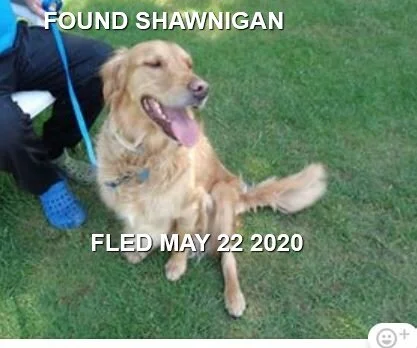 HAPPY ENDINGS - SHAWNIGAN LAKE BC - MAY 22, 2020