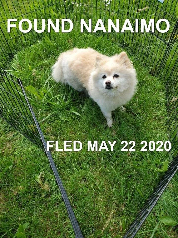 HAPPY ENDINGS - NANAIMO BC - MAY22, 2020