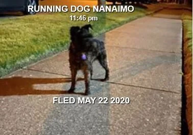 HAPPY ENDINGS - NANAIMO BC - MAY 21, 2020