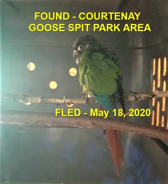 HAPPY ENDINGS - COMOX BC - MAY 18, 2020