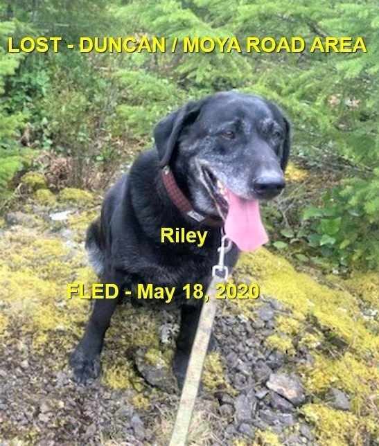 HAPPY ENDINGS - DUNCAN BC - MAY 18, 2020