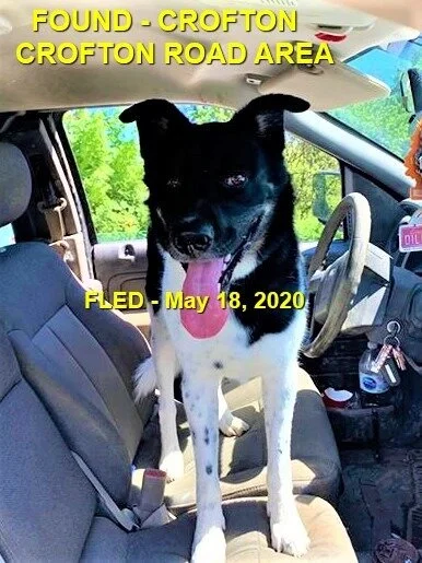 HAPPY ENDINGS - CROFTON BC - MAY 18, 2020