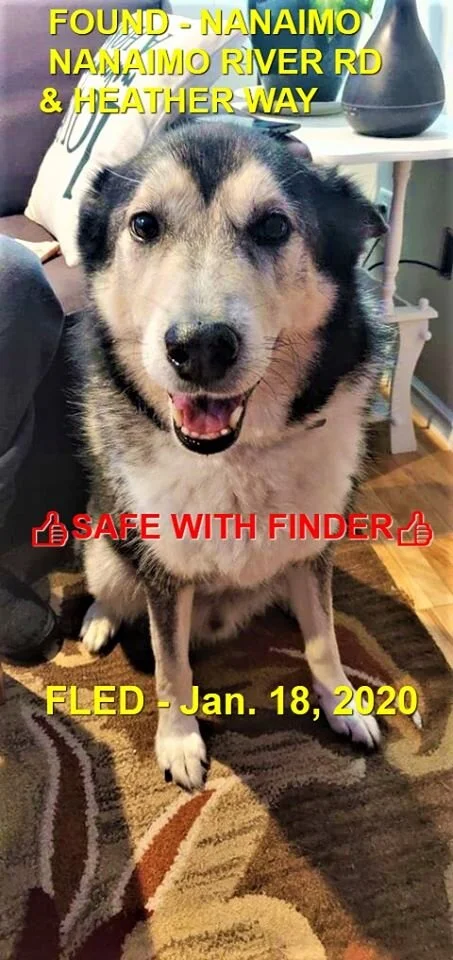 HAPPY ENDINGS - NANAIMO BC - JAN 18, 2020