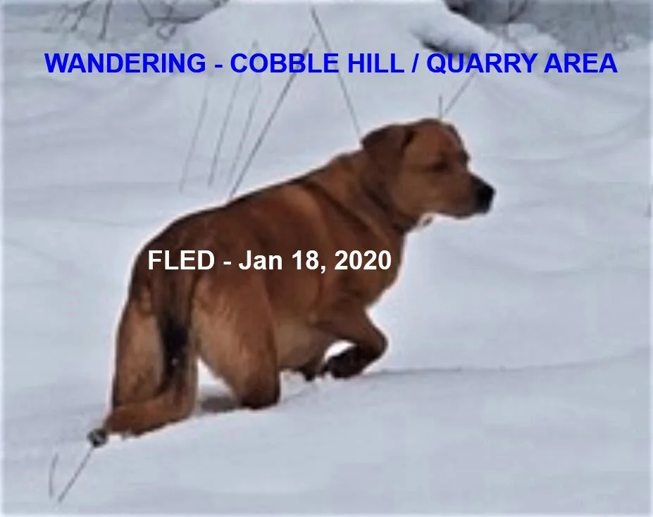HAPPY ENDINGS - COBBLE HILL BC - JAN 18, 2020
