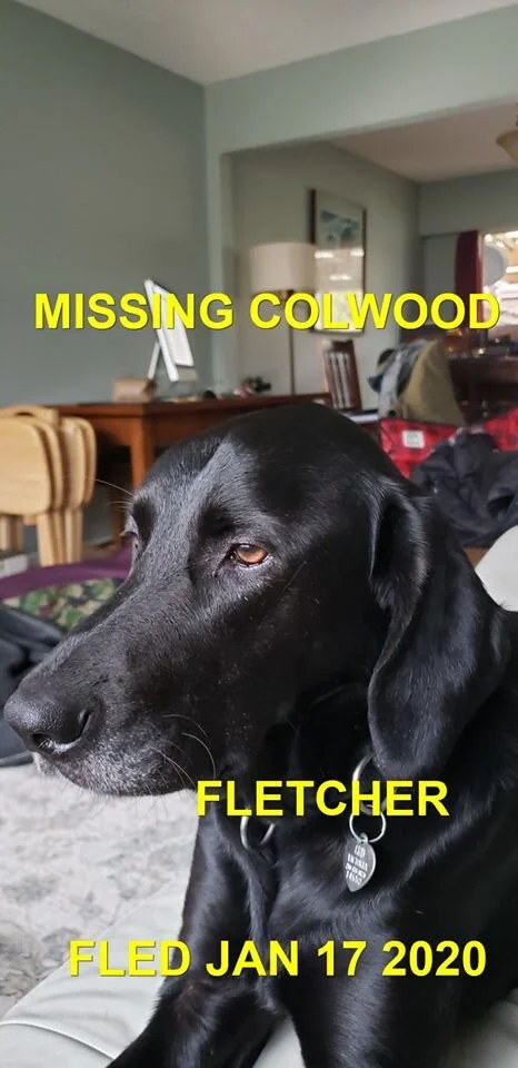 HAPPY ENDINGS - COLWOOD BC - JAN 17, 2020