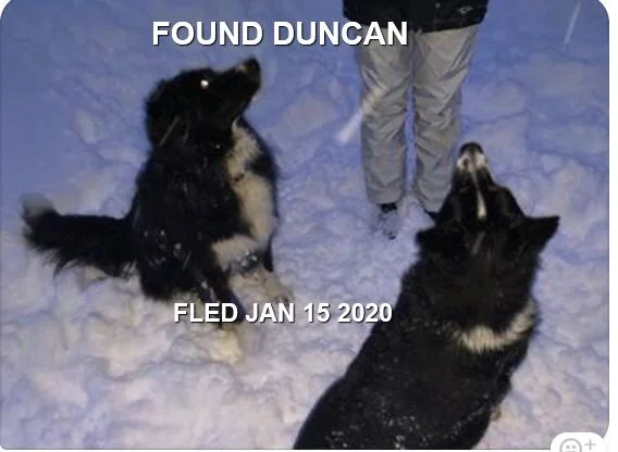 HAPPY ENDINGS - DUNCAN BC - JAN 15, 2020