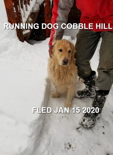 HAPPY ENDINGS - COBBLE HILL BC - JAN 15, 2020