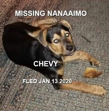 HAPPY ENDINGS - NANAIMO BC - JAN 11, 2020