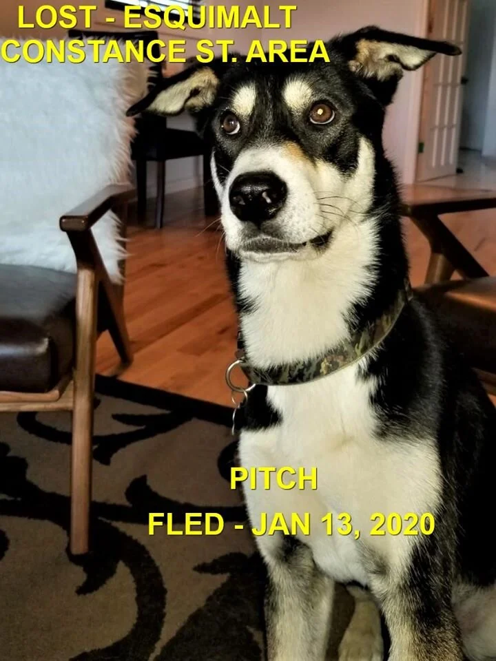 HAPPY ENDINGS - ESQUIMALT BC - JAN 13, 2020