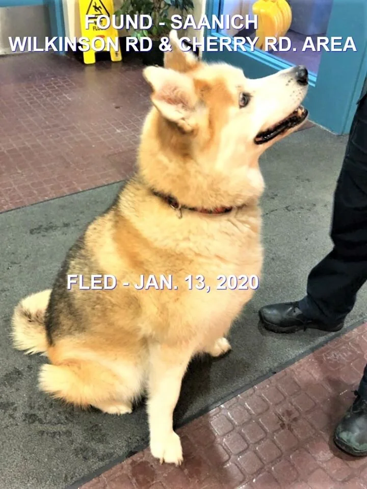 HAPPY ENDINGS - SAANICH BC - JAN 13, 2020