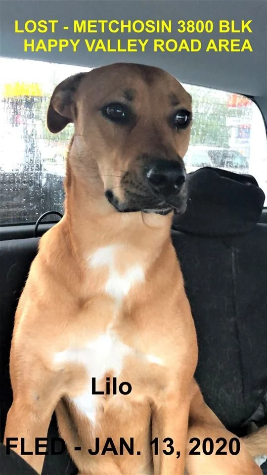 HAPPY ENDINGS - METCHOSIN BC - JAN 13, 2020