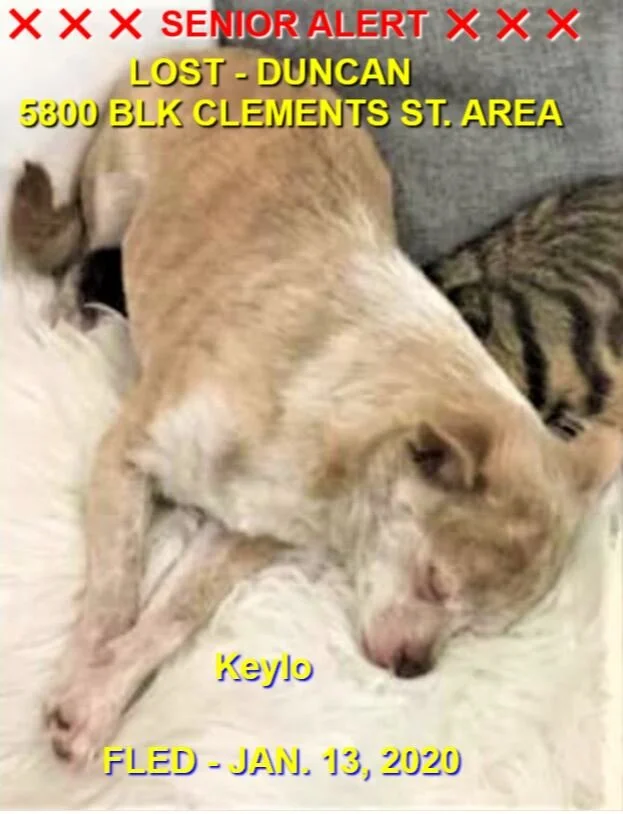 HAPPY ENDINGS - DUNCAN BC - JAN 13, 2020