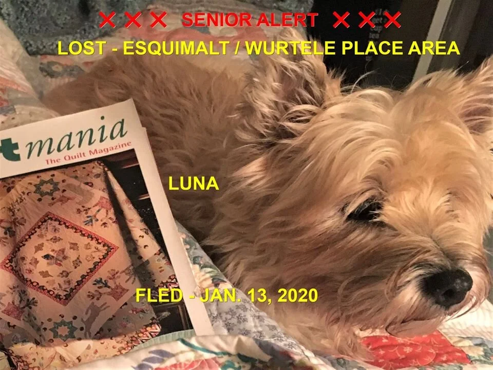 HAPPY ENDINGS - ESQUIMALT BC - JAN 13, 2020