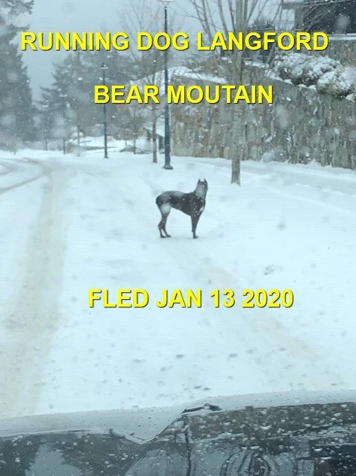 HAPPY ENDINGS - LANGFORD (BEAR MOUNTAIN) JAN 13, 2020