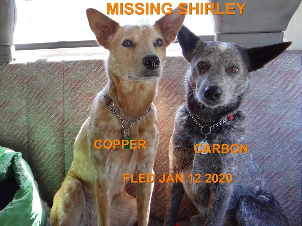 HAPPY ENDINGS - SHIRLEY BC - JAN 12, 2020