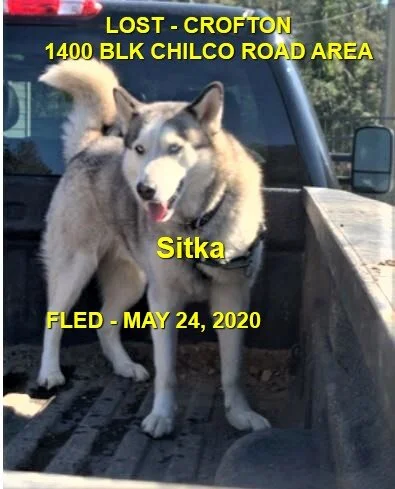 HAPPY ENDINGS - CROFTON BC - MAY 24, 2020