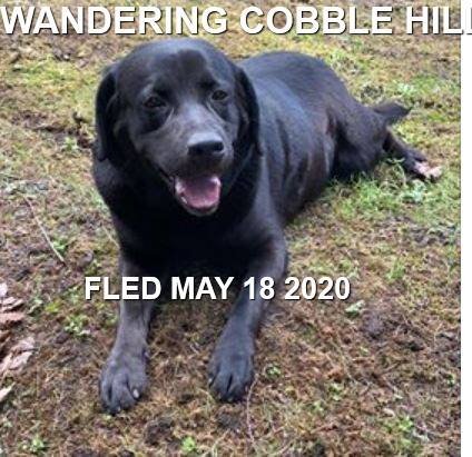 HAPPY ENDINGS - COBBLE HILL - MAY 18, 2020