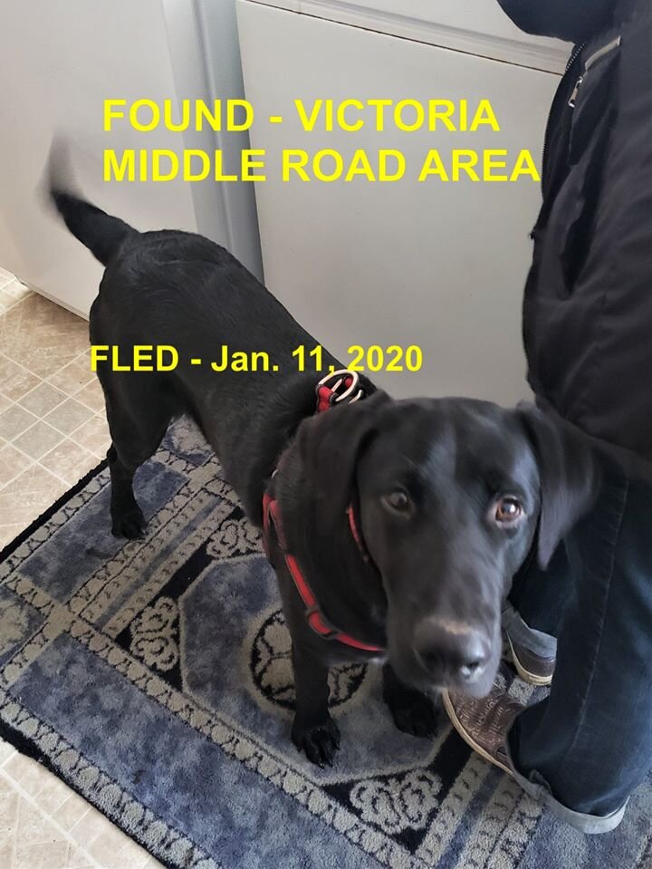 HAPPY ENDINGS - VICTORIA BC - JAN 11, 2020