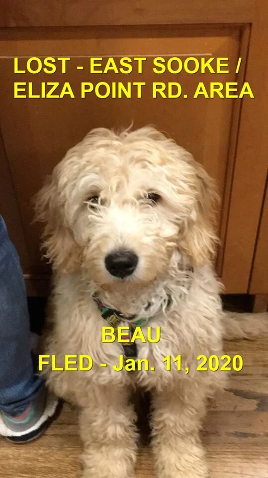 HAPPY ENDINGS - EAST SOOKE BC - JAN 11, 2020