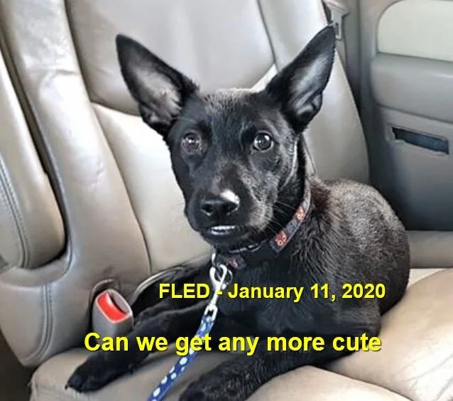 HAPPY ENDINGS - SIDNEY BC - JAN 11, 2020