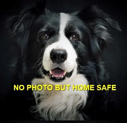 GONE TO SHELTER - NANAIMO BC - JAN 11, 2020