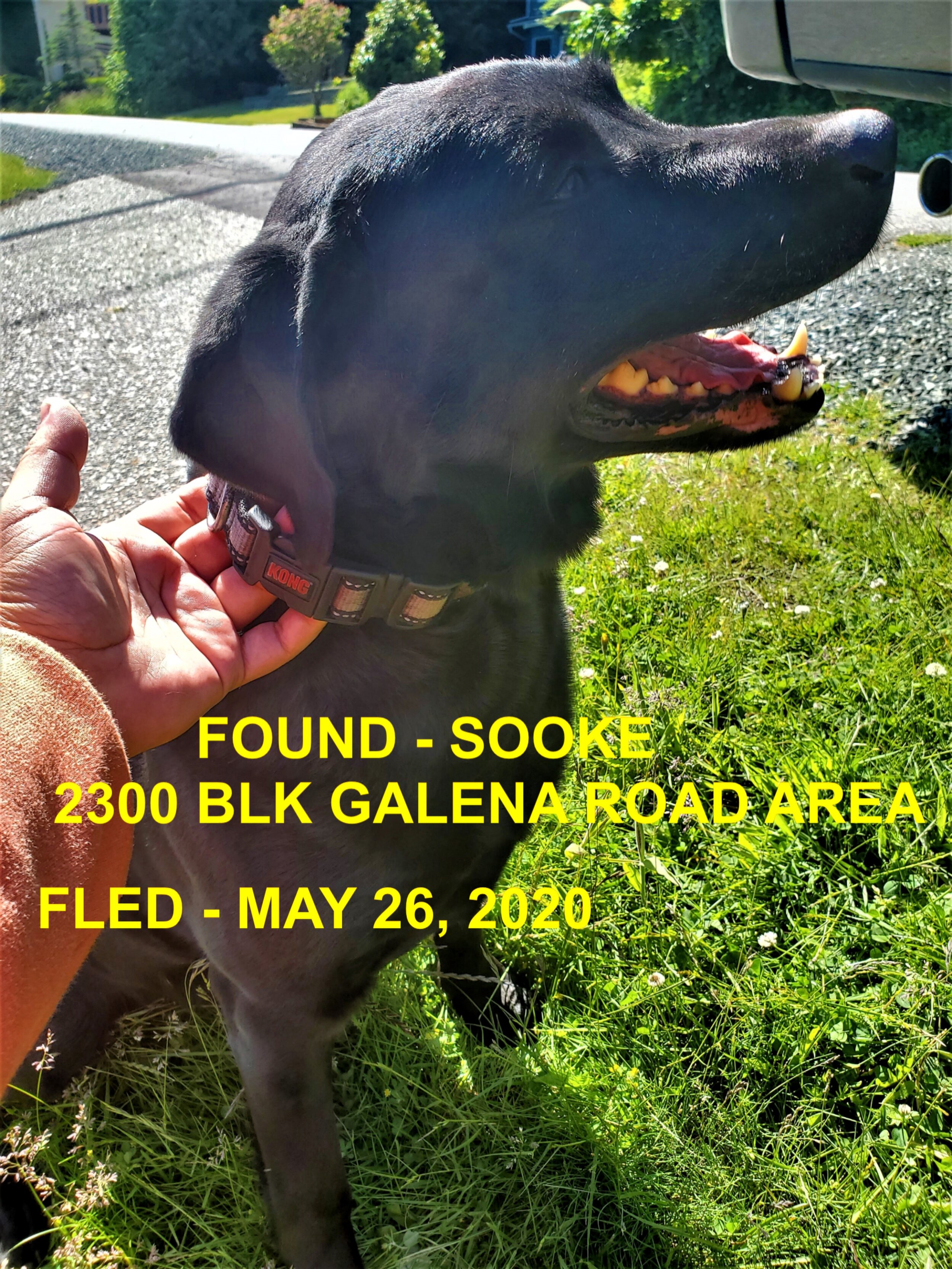 HAPPY ENDINGS - SOOKE BC - MAY 26, 2020