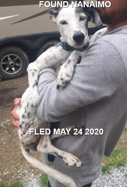 SAFE AT THE NANAIMO SHELTER - MAY 24, 2020