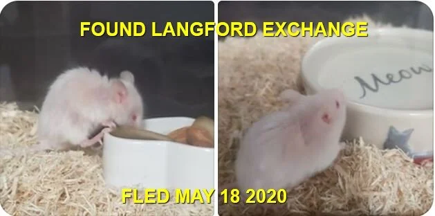 HAPPY ENDING - LANGFORD - MAY 17, 2020