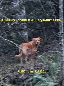 UNRESOLVED - COBBLE HILL - JAN 9, 2020