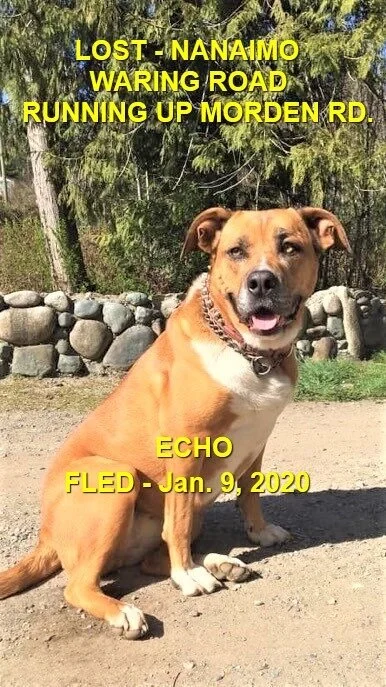 HAPPY ENDINGS - NANAIMO - JAN 9, 2020