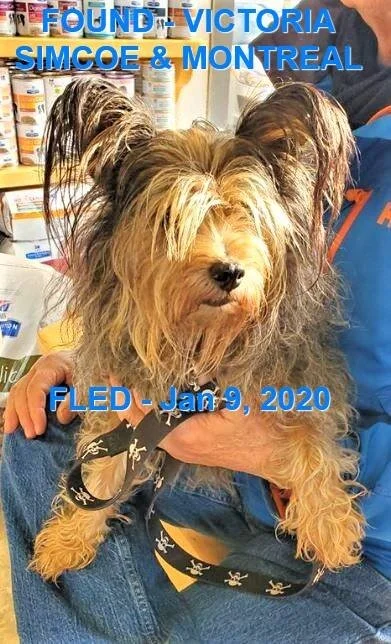 HAPPY ENDINGS - VICTORIA BC - JAN 9, 2020